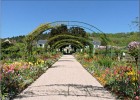 giverny170419 126