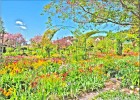 giverny170419 134