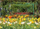 giverny170419 135