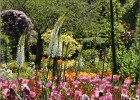 giverny170419 158