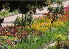 giverny170419 170