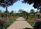giverny170419 188
