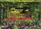 giverny170419 194