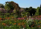 giverny170419 196