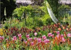 giverny170419 197