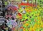giverny170419 210