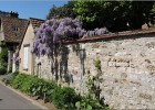 giverny170419 211