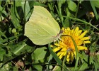 giverny170419 224