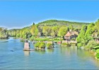 giverny170419 239