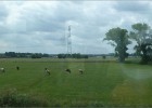 ostende170617 031  Dans le train