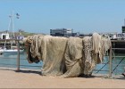 ostende170617 056