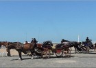 ostende170617 060