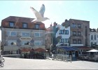 ostende170617 242