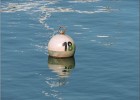 ostende170617 266