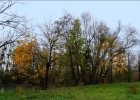 vitry171118 026b