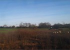 aixlesbains181218 005  Dans le train