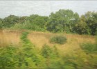 strasbourg180822 005  Dans le train