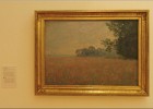 strasbourg180822 226  Champ d&#39;avoine aux coquelicots (Claude Monet)