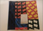 strasbourg180822 236  Toile n° 3.8.9 (Claude Viallat)