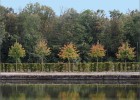 vaux181006 128