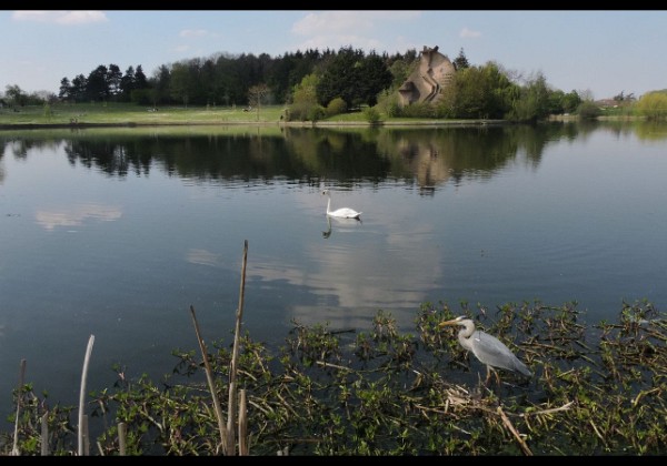 Lac de Courcouronnes 2021