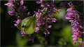 beaugency100821_047