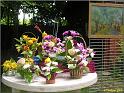 jardinjovet090620c
