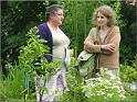 jardinjovet090620h