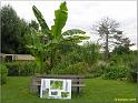 jardinjovet090620x