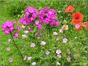 jardinjovet090620y